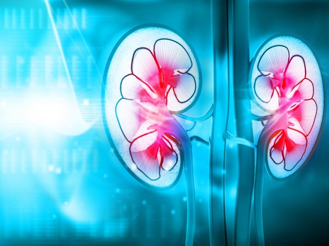 kidney-transplant.jpg